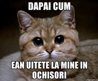 Dapai cum ean uitete la mine in Ochisori