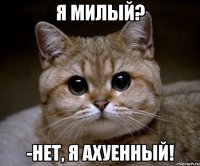 я милый? -нет, я ахуенный!