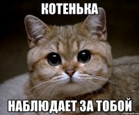 КОТЕНЬКА НАБЛЮДАЕТ ЗА ТОБОЙ