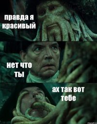 правда я красивый нет что ты ах так вот тебе