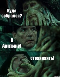 Куда собрался? В Арктику! стояяяяять!