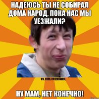 Надеюсь ты не собирал дома народ, пока нас мы уезжали? Ну мам, нет конечно!