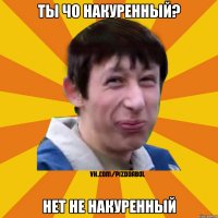 Ты чо накуренный? Нет не накуренный