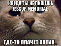 когда ты не пишешь jessup memorial, где-то плачет котик...