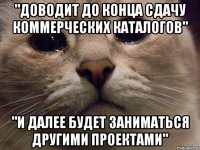 "доводит до конца сдачу коммерческих каталогов" "и далее будет заниматься другими проектами"