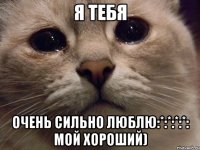 я тебя очень сильно люблю:*:*:*:*: мой хороший)