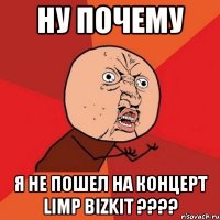 ну почему я не пошел на концерт limp bizkit ???