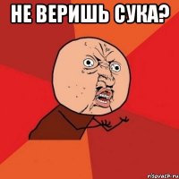 НЕ ВЕРИШЬ СУКА? 