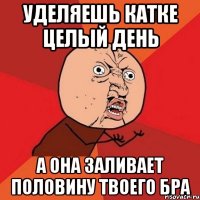 уделяешь катке целый день а она заливает половину твоего БРа