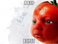 я вор ворот