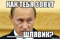 Как тебя зовут ............Шлявик?