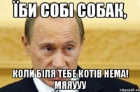 Їби собі собак, коли біля тебе котів нема! мяяууу