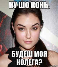 ну шо конь, будеш моя колега?