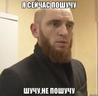 Я сейчас пошучу шучу,не пошучу