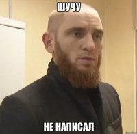 шучу не написал