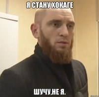 Я стану Хокаге Шучу,не я.