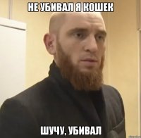 Не убивал я кошек Шучу, убивал