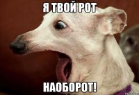 Я ТВОЙ РОТ НАОБОРОТ!