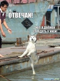 отвечай! Нет! я должен страдать х*йней!