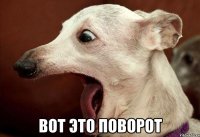  Вот это поворот