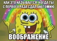 как это называется, когда ты с первого раза сдал анатомию воображение