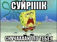 Суйріііік скучааааю по тебе;(