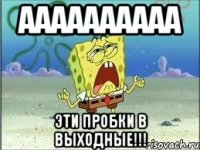 Аааааааааа Эти пробки в выходные!!!