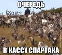 Очередь В кассу Спартака