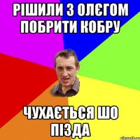 РІШИЛИ З ОЛЄГОМ ПОбрити Кобру чухається шо пізда