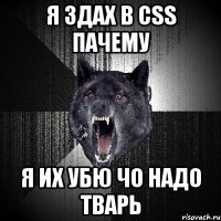 я здах в css пачему я их убю чо надо тварь