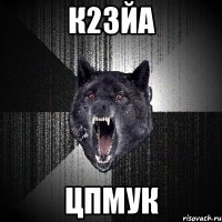 к23йа цпмук