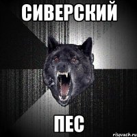 Сиверский пес