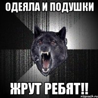 Одеяла и подушки Жрут ребят!!