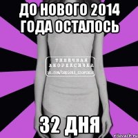 До Нового 2014 Года осталось 32 дня