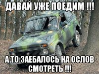 ДАВАЙ УЖЕ ПОЕДИМ !!! А ТО ЗАЕБАЛОСЬ НА ОСЛОВ СМОТРЕТЬ !!!