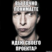 Вы точно понимаете идею своего проекта?