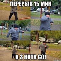 перерыв 15 мин в 3 кота go!