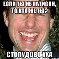 если ты не патисон, то кто же ты? стопудово уха