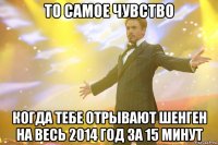 то самое чувство когда тебе отрывают шенген на весь 2014 год за 15 минут