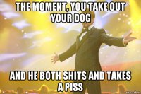 The moment, you take out your dog And he both shits and takes a piss