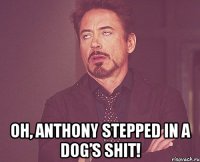  oh, anthony stepped in a dog’s shit!