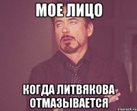 мое лицо когда литвякова отмазывается