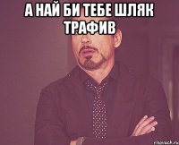 а най би тебе шляк трафив 