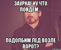 заурка! ну что пойдем… подолбим лед возле ворот?