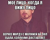 мое лицо, когда я вижу лицо вернее морду с молнией на пол ебала, хэллоуин доставляет