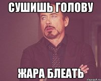 сушишь голову жара блеать