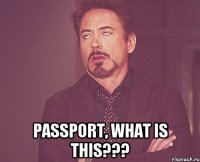  passport, what is this???