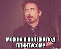  можно я полежу под плинтусом?