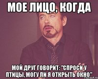 мое лицо, когда мой друг говорит: "спроси у птицы, могу ли я открыть окно"