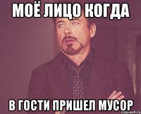 моё лицо когда в гости пришел мусор